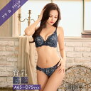 【1/22新作】シックレディブルーム育乳脇高ブラジャー&Tバックショーツ
