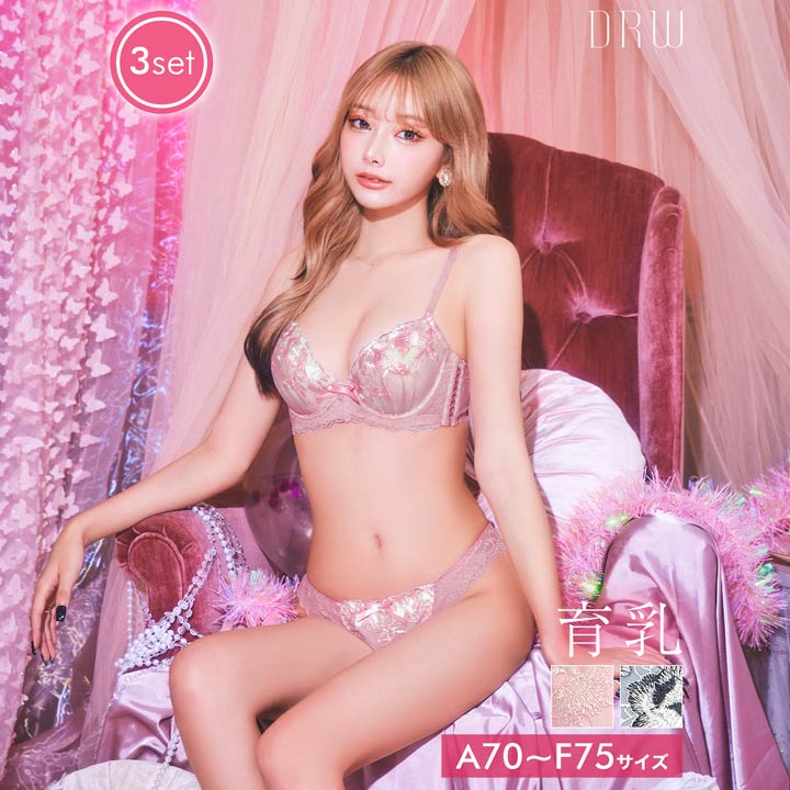 育乳ブラ セット エンブロイダリー レース ブラジャー & フルバック & Tバック ショーツ | 大きいサイズ 脇高ブラ セット 脇高ブラ ショーツ セット ブラ 脇肉 ブラ ショーツ セット 補正下着 ブラジャー 盛りブラ ブラ セット 下着のサムネイル