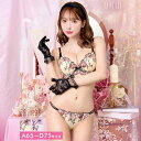 ブラジャー ショーツ セット 透け ショーツ レディース ブラ 勝負下着 セクシー ランジェリー 大きいサイズ 盛りブラ 女性 下着 レディース 上下セット ブラ セット レース drw