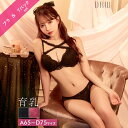 ブラジャー ショーツ セット 大きいサイズ 総レース 透け ショーツ 下着 勝負下着 セクシー ランジェリー 下着 レディース 上下セット ブラ セット drw 盛りブラ