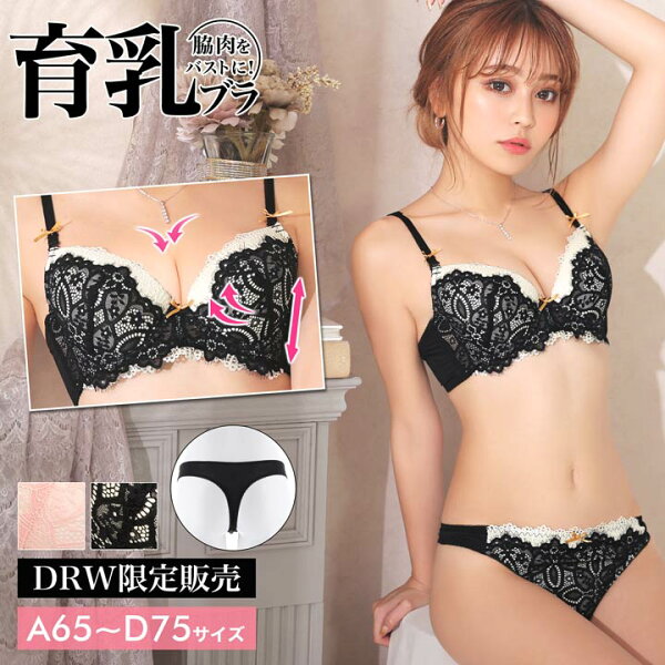 育乳ブラセットリボンレースブラジャー&Tバックショーツ|脇高ブラセット脇高ブラショーツセットブラ脇肉ブラショーツセット補正下着ブ