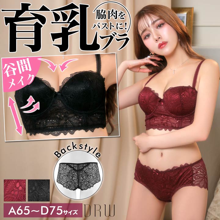 ＼即日配送／【DRW公式】育乳ブラジャー 脇高ブラジャー ショーツ セット 補正下着 ゴージャスレースエンブロイダリー育乳脇高 ブラジャー & フルバック ショーツ | ブラジャー ショーツ セット 脇肉 贅肉 盛りブラ セット ランジェリー セクシーのサムネイル