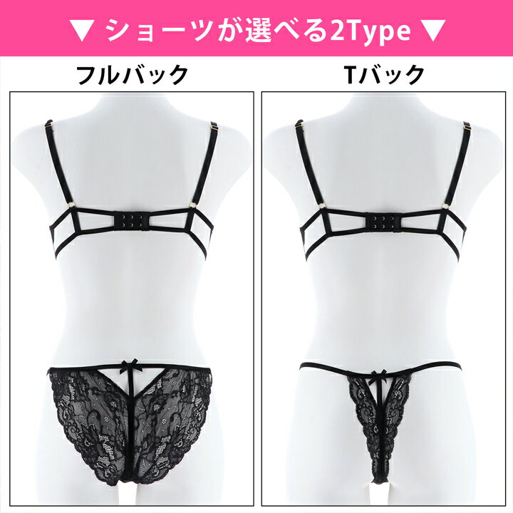 ブラジャー ショーツ シャイン ローズ エンブロイダリー ブラジャー & 選べる バック透け フルバック or Tバック ショーツ [Reinest] | 大きいサイズ 下着 レディース セット tバック ティーバック ランジェリー セクシー ランジェリー ブラ