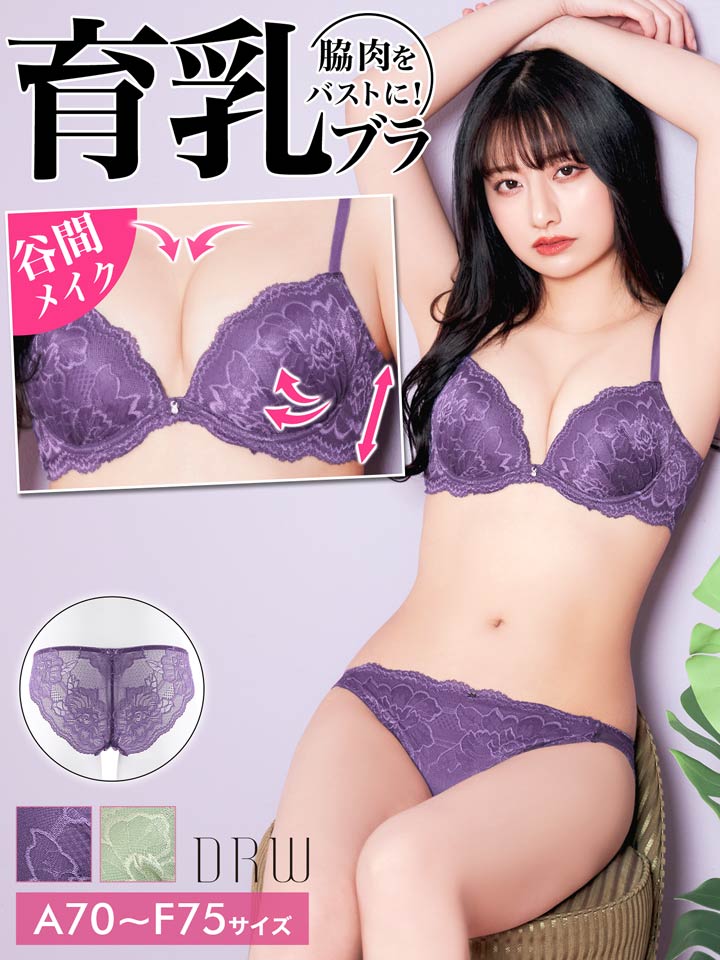 ＼即日配送／【DRW公式】育乳ブラジャー 脇高ブラジャー ショーツ セット 補正下着 シンプル フラワー エンブロイダリー 育乳 脇高 ブラジャー & バック透け フルバック ショーツ | 大きいサイズ ブラジャー ショーツ セット 脇肉 贅肉 盛りブラ レディースのサムネイル