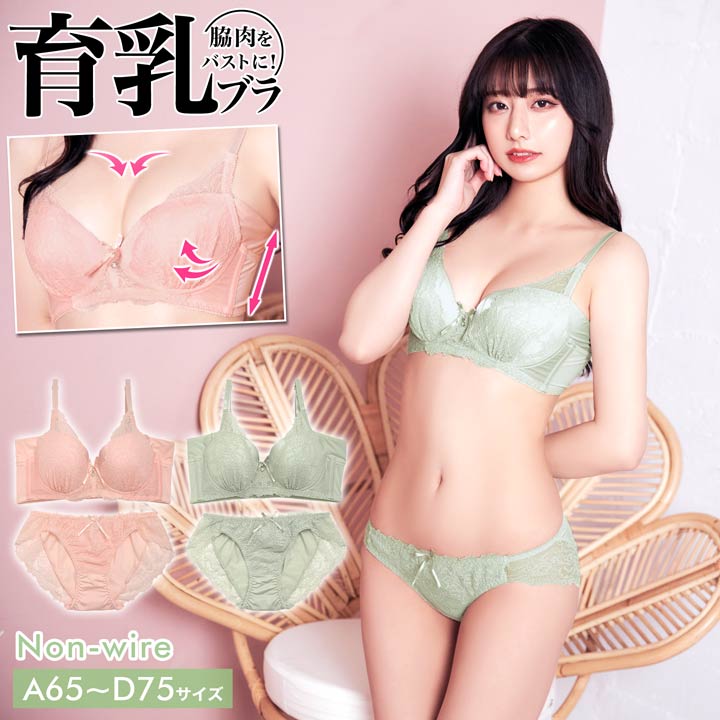 育乳ブラジャー 脇高ブラジャー ショーツ セット 補正下着 ノンワイヤー シンプリー パステル レース 育乳 脇高 ブラジャー & フルバック ショーツ | 大きいサイズ ブラジャー ショーツ セット 脇肉 贅肉 盛りブラ ブラ セット 下着 レディース セットのサムネイル