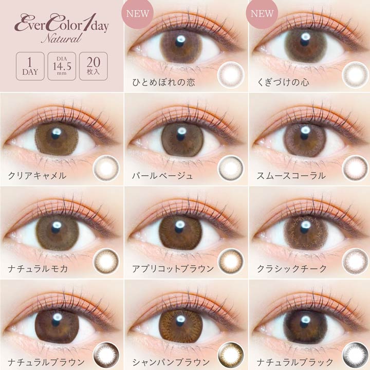 カラコン ワンデー 度あり 度なし 14.5mm EverColor1day Natural エバーカラー ワンデー ナチュラル [0.00〜-5.00] | カラーコンタクト コンタクトレンズ 1日使い捨て 1箱 20枚 入り 両目 1day ナチュラル ハーフ系 ブラウン ブラック