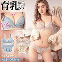 楽天DRW／ドロー 下着・ランジェリー店＼即日配送／【DRW公式】育乳ブラジャー 脇高ブラジャー ショーツ セット 補正下着 ノンワイヤー バイカラー ライン フラワー レース 育乳 脇高 ブラジャー & フルバック ショーツ | 大きいサイズ ブラジャー ショーツ セット 脇肉 贅肉 盛りブラ レディース