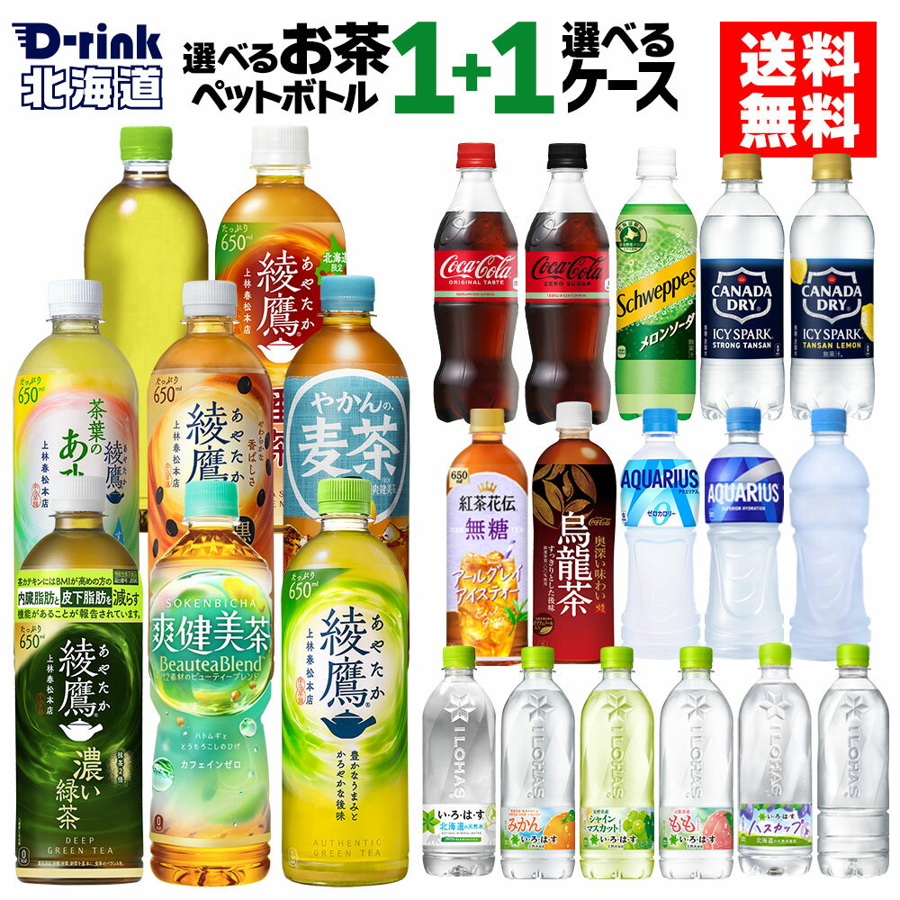 選べるお茶 と ペットボトル飲料 よりどり コカコーラ ゼロ 綾鷹 アクエリアス やかんの麦茶 爽健美茶 アイシー・スパーク 540ml 500ml 525ml 600ml 650ml ペットボトル 24本入り×2ケース【送料無料】