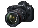 ★キヤノン / CANON EOS 5D Mark IV EF24-105L IS II USM レンズキット 【デジタル一眼カメラ】【送料無料】