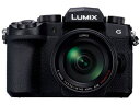 ★Panasonic / パナソニック LUMIX DC-G99H 標準ズームレンズキット 【デジタル一眼カメラ】【送料無料】