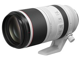 RF100-500mm F4.5-7.1 L IS USM