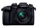 パナソニック ★Panasonic / パナソニック LUMIX DC-GH5M2M 標準ズームレンズキット 【デジタル一眼カメラ】【送料無料】