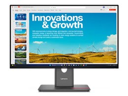 ★レノボ / Lenovo ThinkVision P24QD-40 64B1GAR1JP [23.8インチ 黒]【PCモニター・液晶ディスプレイ】【送料無料】
