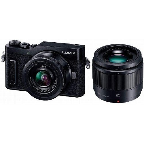 【5/25限定★P最大6倍+最大5000円OFFクーポン】Panasonic LUMIX ミラーレス一眼カメラ ルミックス ダブルレンズキット 標準ズームレンズ／単焦点レンズ付属 DC-GF90 DC-GF90W-K 新生活