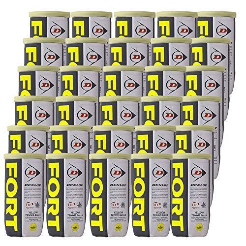 DUNLOP FORT 【2個入1箱（30缶/60球）】テニスボール ダンロップ フォート 新生活【転送不可】