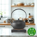 BALMUDA バルミューダ KPT02JP-BK ブラック 電気ケトル 0.9L 温度調整機能付 MoonKettle【転送不可】