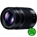 【4/20限定★P最大6倍+最大5000円OFFクーポン】Panasonic パナソニック LEICA DG VARIO-ELMARIT 35-100mm / F2.8 / POWER O.I.S. H-ES35100 デジタル一眼カメラ用交換レンズ ズームレンズ