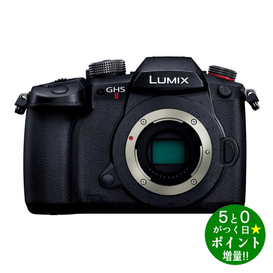 【5/20限定★P最大6倍+最大5000円OFFクーポン】Panasonic パナソニック LUMIX DC-GH5M2 ブラック ボディ ミラーレス一眼カメラ ボディ