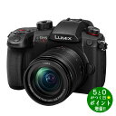 【5/1～5/6★毎日ポイント3倍】Panasonic パナソニック DC-GH5M2 ミラーレス一眼カメラ 標準ズームレンズキット LUMIX