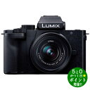 【5/1～5/6★毎日ポイント3倍】Panasonic パナソニック LUMIX DC-G100 ブラック ミラーレス一眼カメラ 標準ズームレンズキット