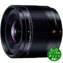 Panasonic パナソニック LEICA DG SUMMILUX 9F1.7 H-X09 カメラ交換レンズ デジタル一眼カメラ【転送不可】