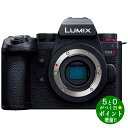 【5/1～5/6★毎日ポイント3倍】Panasonic パナソニック DC-G9M2 ブラック ミラーレス一眼カメラ ボディ LUMIX