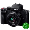 【5/1～5/6★毎日ポイント3倍】Panasonic パナソニック LUMIX DC-G100DK-K ブラック ミラーレス一眼カメラ 標準ズームレンズキット