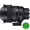 SIGMA シグマ F1.4 DG DN/SE カメラ交換レンズ ソニーEマウント用 14mm