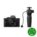 楽天ディーショップワン【5/1限定★P最大5倍+最大2000円OFFクーポン】Panasonic パナソニック DC-G100V-K 標準ズームレンズキット ミラーレス一眼カメラ