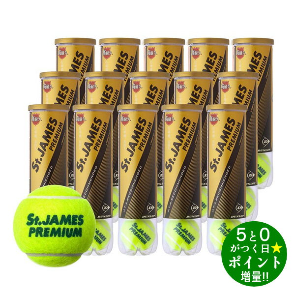 DUNLOP ダンロップ St.JAMES Premium 硬式 テニスボール 4球入り×15缶