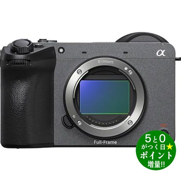 SOA受賞記念◆最大P6倍＋最大4000円CP！！2/1◆ソニー カメラ ビデオカメラ プロフェッシ ...