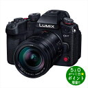 【2/25限定★P最大6倍+最大3000円OFFクーポン】Panasonic パナソニック DC-GH7 ブラック ミラーレス一眼カメラ 標準ズームレンズキット LUMIX【転送不可】