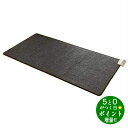 【6/5限定★最大3000円OFFクーポン配布】Zenken ゼンケン ZCB-10S 電気ホットカーペット 1畳タイプ 本体のみ 電磁波99%カット【転送不可...