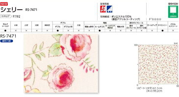 オーダー ロールスクリーン 遮光 シェリー ネジ止め式▼ラルク ダブル 組合せ生地：シフォン▼タチカワブラインド 遮光1級★北海道・沖縄・離島も送料無料！