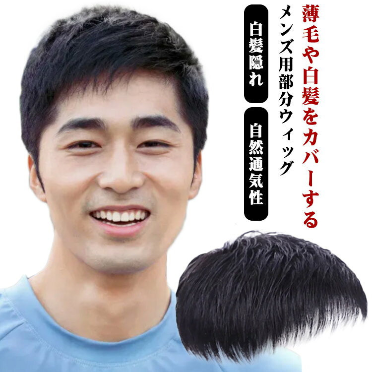 ウィッグ 男性用 ヘアピース 頭頂部 メンズ ポイントウィッグ メンズウィッグ ウィッグ トップカバー 部分ウィッグ 付け毛 脱毛症 薄毛 白髪隠れ トップピース 紳士用 増毛 部分かつら 自然 通気性 黒 普段使い