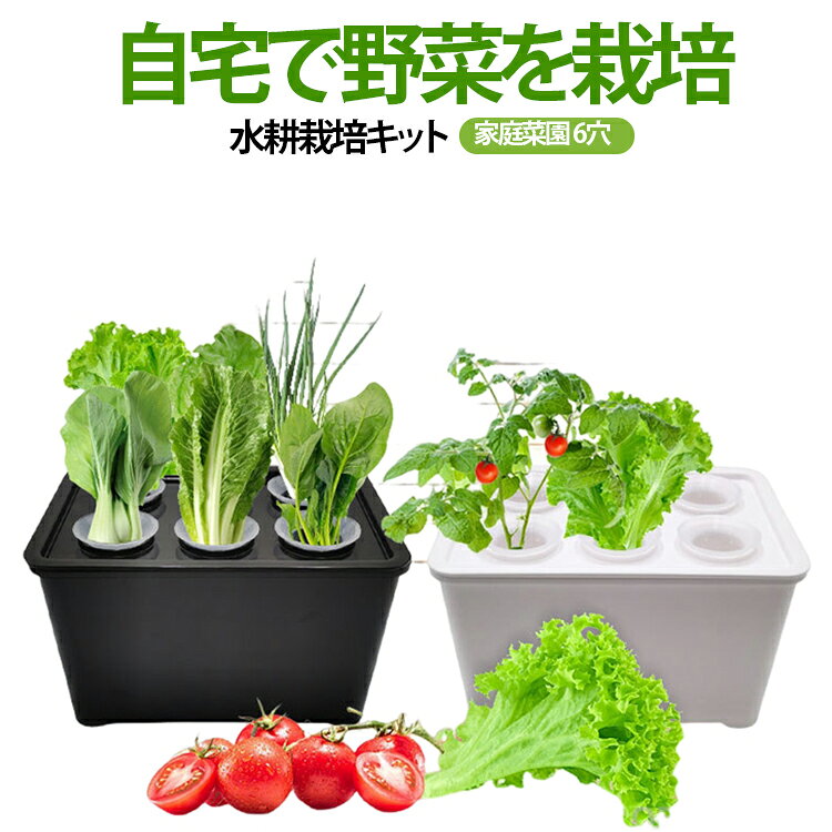 自宅で野菜を栽培 水耕栽培システム 6穴 水耕栽培キット 水耕栽培 自宅で野菜を栽培 6穴 キット 植木鉢 種子栽培セット プランター 野菜栽培セット 無土壌栽培ボックス 家庭菜園 観葉植物 野菜 果物 ハーブ インテリア