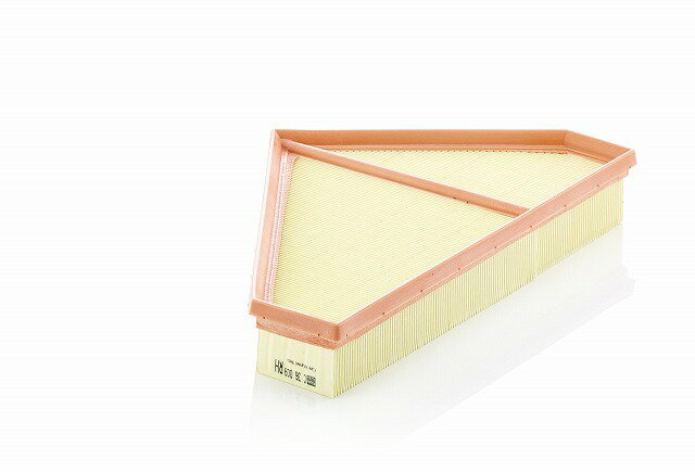 ジャガー エアフィルター MANN フィルター C36009 T2R1882