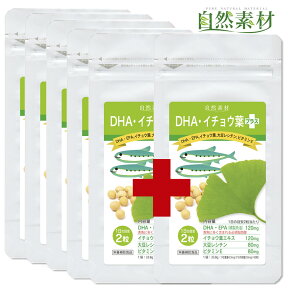 創業45年 DHAイチョウ葉プラス 5袋で1袋プレゼント(約8ヵ月分) DHA EPA イチョウハ イチョウ葉 大豆レシチン ビタミンE サプリメント 80粒入6袋 送料無料 大日ヘルシーフーズ直販 お得用 サプリ 国内製造 ポスト投函