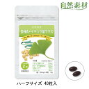 創業45年 DHAイチョウ葉プラス (約20日分) DHA EPA イチョウ葉 大豆レシチン ビタミンE入 イチョウハ サプリメント 40粒入 1袋20日分でお得 dha epa サプリメント 大日ヘルシーフーズ直販 ポスト投函