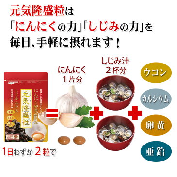 創業40年 元気隆盛粒62粒 にんにく卵黄 しじみ ウコン 亜鉛 初回限定(約1ヶ月分) 無臭錠剤 お試しタイプ 送料無料 楽天BOX受取対象商品 美容 健康 一世帯1袋限り 1000円ポッキリ 大日ヘルシーフーズ直販 あす楽 ネコポス