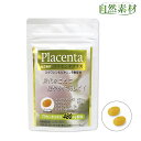 創業45年 期間限定 11/11まで53%OFF プラセンタエキス スクワレン ビタミンE ビオチン 美容成分 プラセンタプラス(約1ヵ月分 120粒入) 他社に負けない配合量 送料無料 ポスト投函