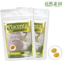 創業45年 11/11まで 期間限定56%OFF プラセンタエキス スクワレン ビタミンE ビオチン 美容成分 プラセンタプラス(約2ヶ月分) 他社に負けない配合量 送料無料 ポスト投函