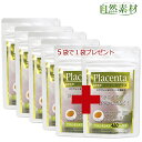 創業45年 11/11まで 期間限定 半額以下 さらにプラス1個 プラセンタエキス スクワレン ビタミンE ビオチン 美容成分 お得用5袋で1袋プレゼント (約6ヶ月分)プラセンタプラス 他社に負けない配合量 送料無料 ポスト投函
