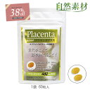 創業45年 好評につき延長 11/11まで 38%OFF プラセンタエキス スクワレン ビタミンE ビオチン 美容成分 お手軽ハーフサイズ プラセンタプラス60粒入 一世帯3袋まで 送料無料 大日ヘルシーフーズ直販 ポスト投函