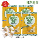 創業45年 プロポリス のど飴 キャンディ 4袋セット のどの弱い方 プロポリスにはちみつ入りの美味しいのど飴 風邪の予防にのどをいたわる飴 大日ヘルシーフーズ直販 ポスト投函 送料無料