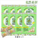 創業45年 はちみつレモンキャンディー 蜂蜜 レモン あめ のど飴 キャンディ8袋セット のどの弱い方 風邪の予防にのどをいたわる飴 はちみつレモン入りの美味し...