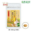 創業45年 好評につき延長 5/1まで37%OFF 初回限定価格 ローヤルゼリー にんにく卵黄 濃縮にんにく カルシウム ローヤル＋濃縮にんにくの力 30粒入1袋 一世帯2袋まで 大日ヘルシーフーズ 直販 ポスト投函 1