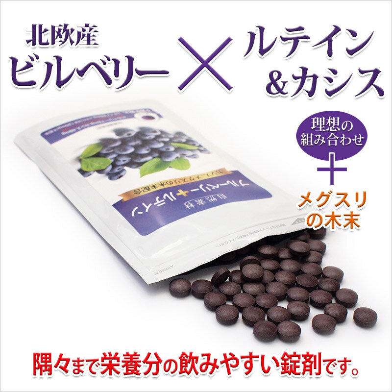 創業40年 ブルーベリー ルテイン(約3ヶ月分) 送料無料 メール便 ブルーベリー カシス ルテイン メグスリノキ配合 目 サプリメント 1袋錠剤120粒入 大日ヘルシーフーズ直販 国内製造