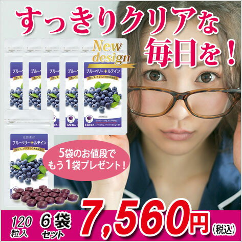 創業40年 ブルーベリー ルテイン 5袋で1袋プレゼント(約6ヶ月分)今なら5日分増量 送料無料 ブルーベリー カシス ルテイン メグスリノキ配合 目 サプリメント 1袋120粒 お得用 あす楽 大日ヘルシーフーズ直販 サプリ 国内製造