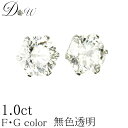 PT ダイヤモンド ピアス 1.0ct (トータ